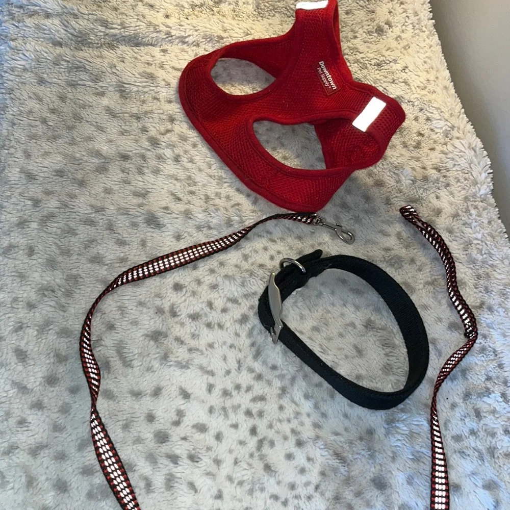5/$20 Dog Harness, Leash Size S/M